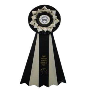 Dynasty & Super Dynasty